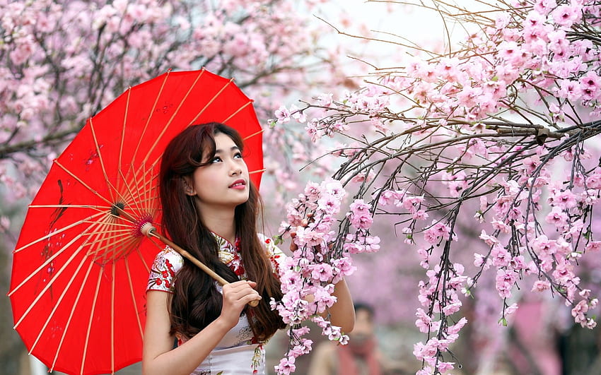 Frühlingsblüten, Regenschirm, Brünette, Sonnenschirm, Mädchen, Blüten, Äste, Bäume, Blumen, Frühling HD-Hintergrundbild