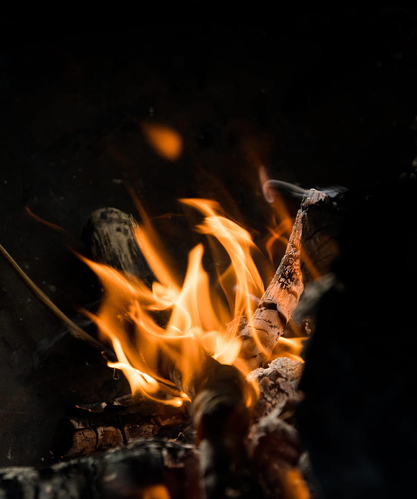 Ogień, ognisko, węgle, ciemność, płomień, drewno opałowe, popiół Tapeta na telefon HD