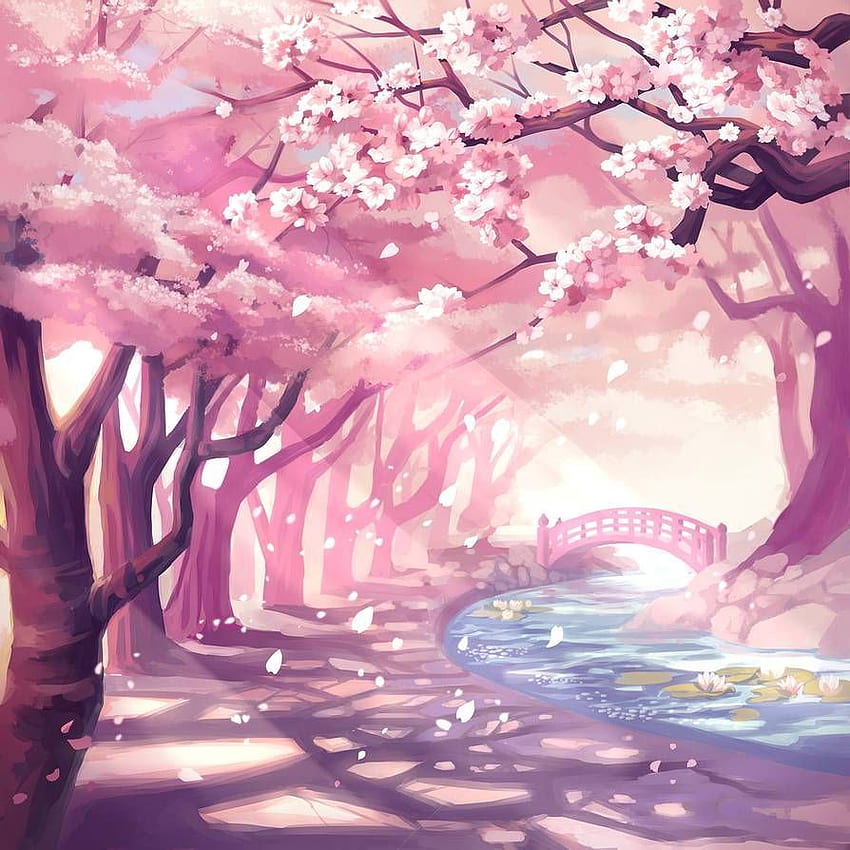 Anime spring season street HD wallpaper  Pxfuel