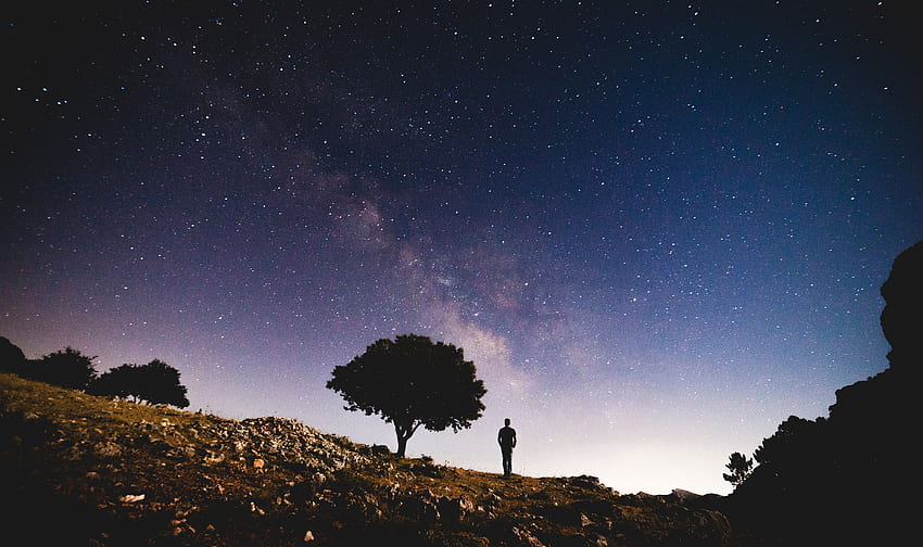 Stars, Night, Dark, Silhouette, Wood, Tree, Starry Sky HD wallpaper