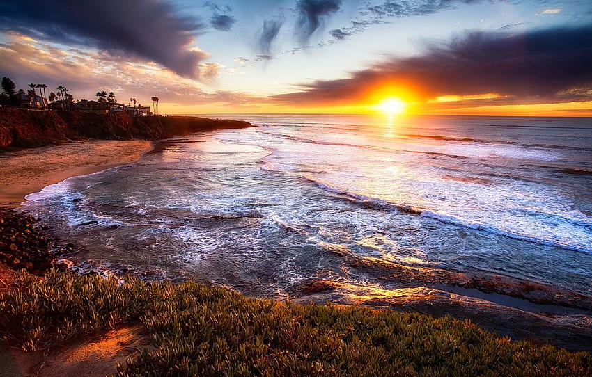 San Diego, palm trees, USA, nature, California, sea, San Diego Sunset HD wallpaper
