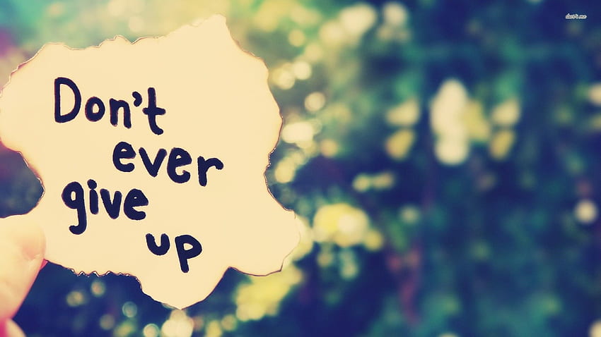 Don't Give Up . Give Thanks , Never Give in and Never Give Up HD wallpaper