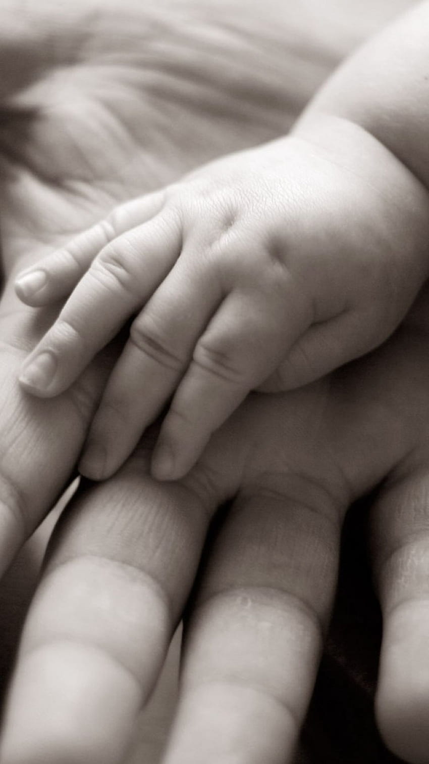 Warme Babyhände in der Hand der Eltern HD-Handy-Hintergrundbild