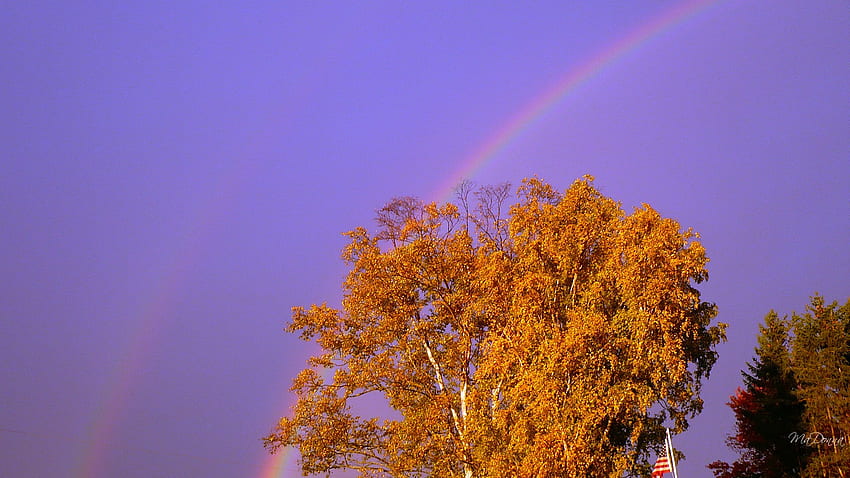 Ottobre Double Rainbow, Washington, caduta, bandiera, Stati Uniti, foglie, betulla, arcobaleno, alberi, autunno, cielo Sfondo HD