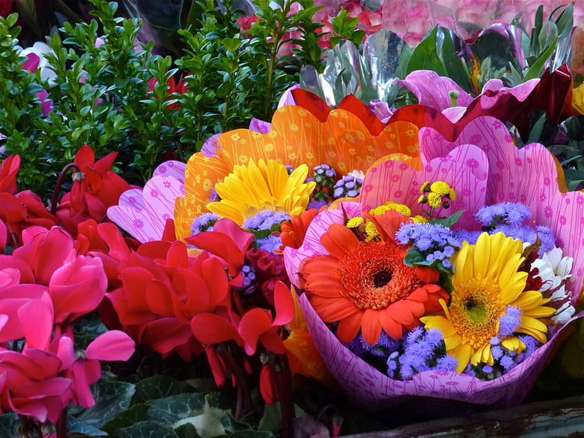 kolorowy bukiet, bukiet, kolorowy, przyroda, kwiaty Tapeta HD