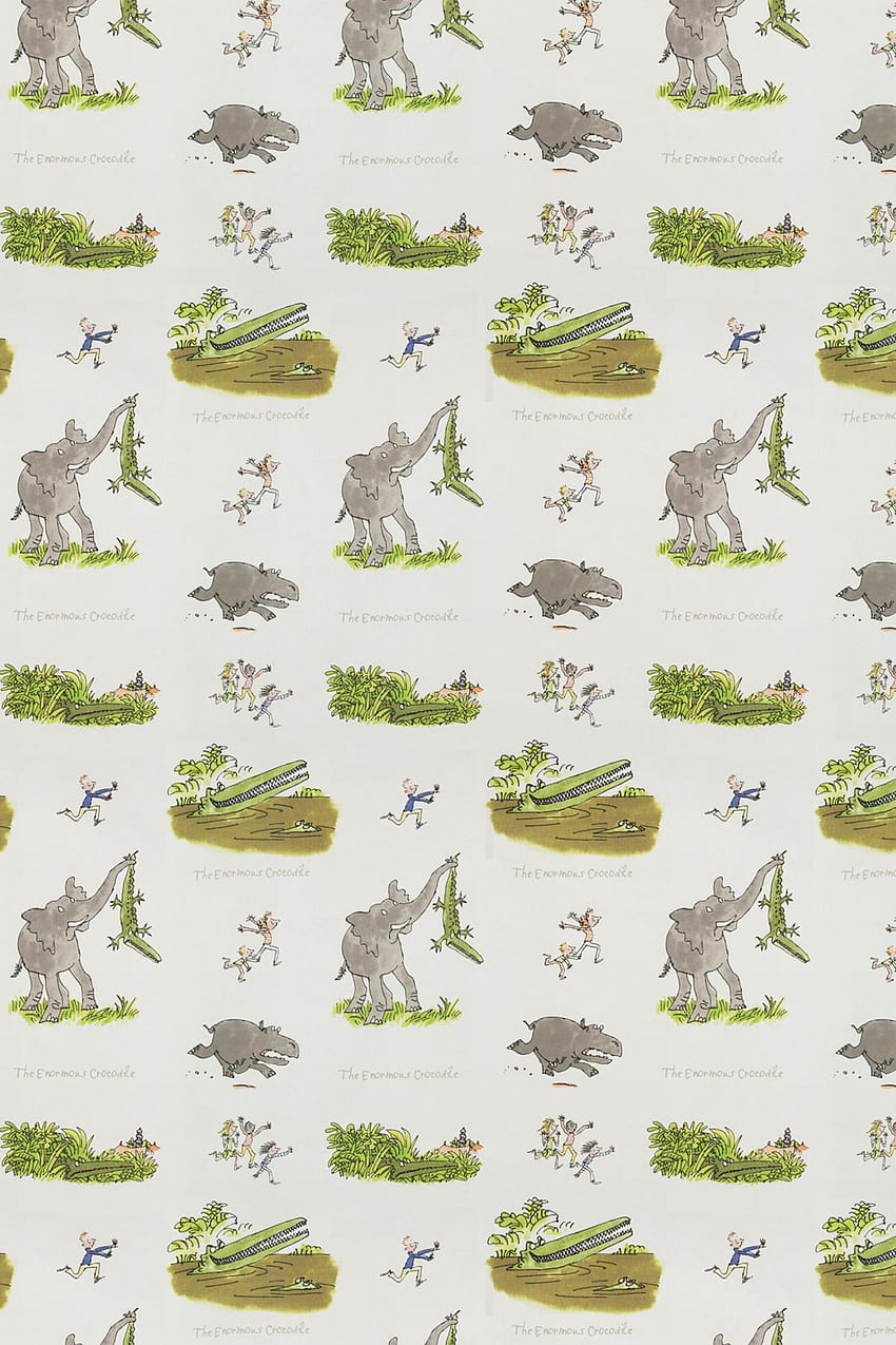 Enormous Crocodile by Roald Dahl : Direct. Quentin blake illustrations, Roald dahl, direct HD phone wallpaper