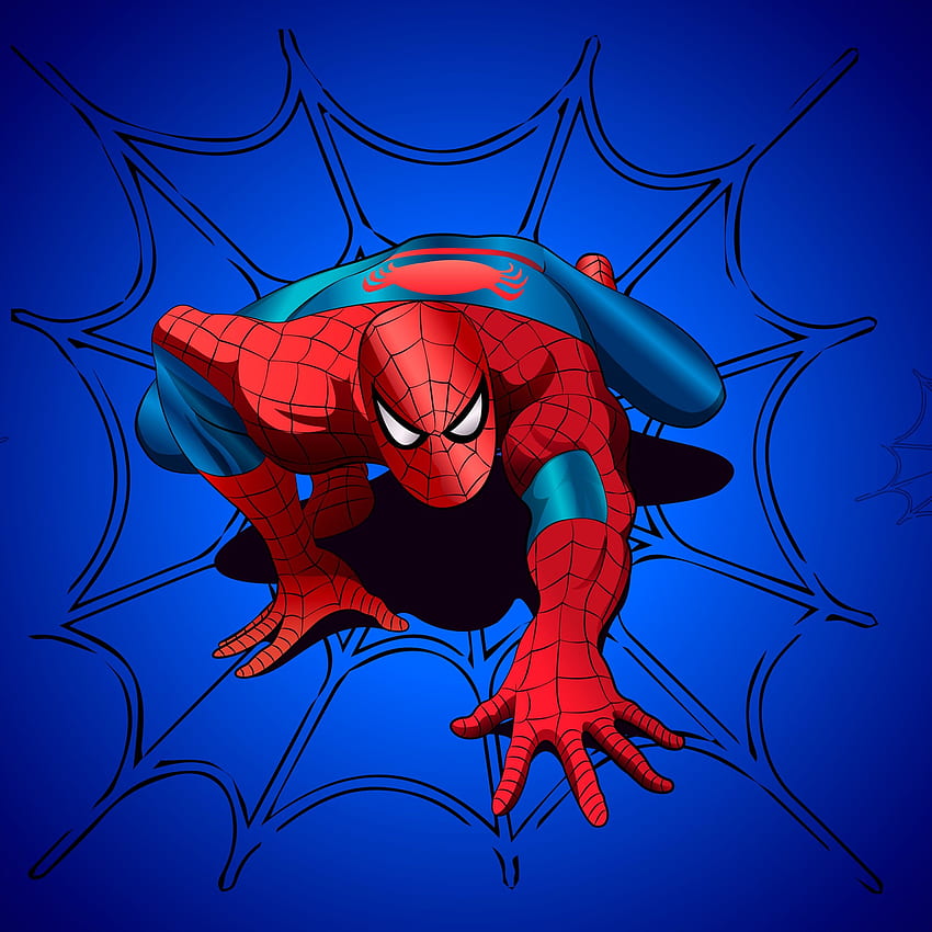 Spider Man , Blue Background, Graphics CGI, Blue Superhero HD phone wallpaper