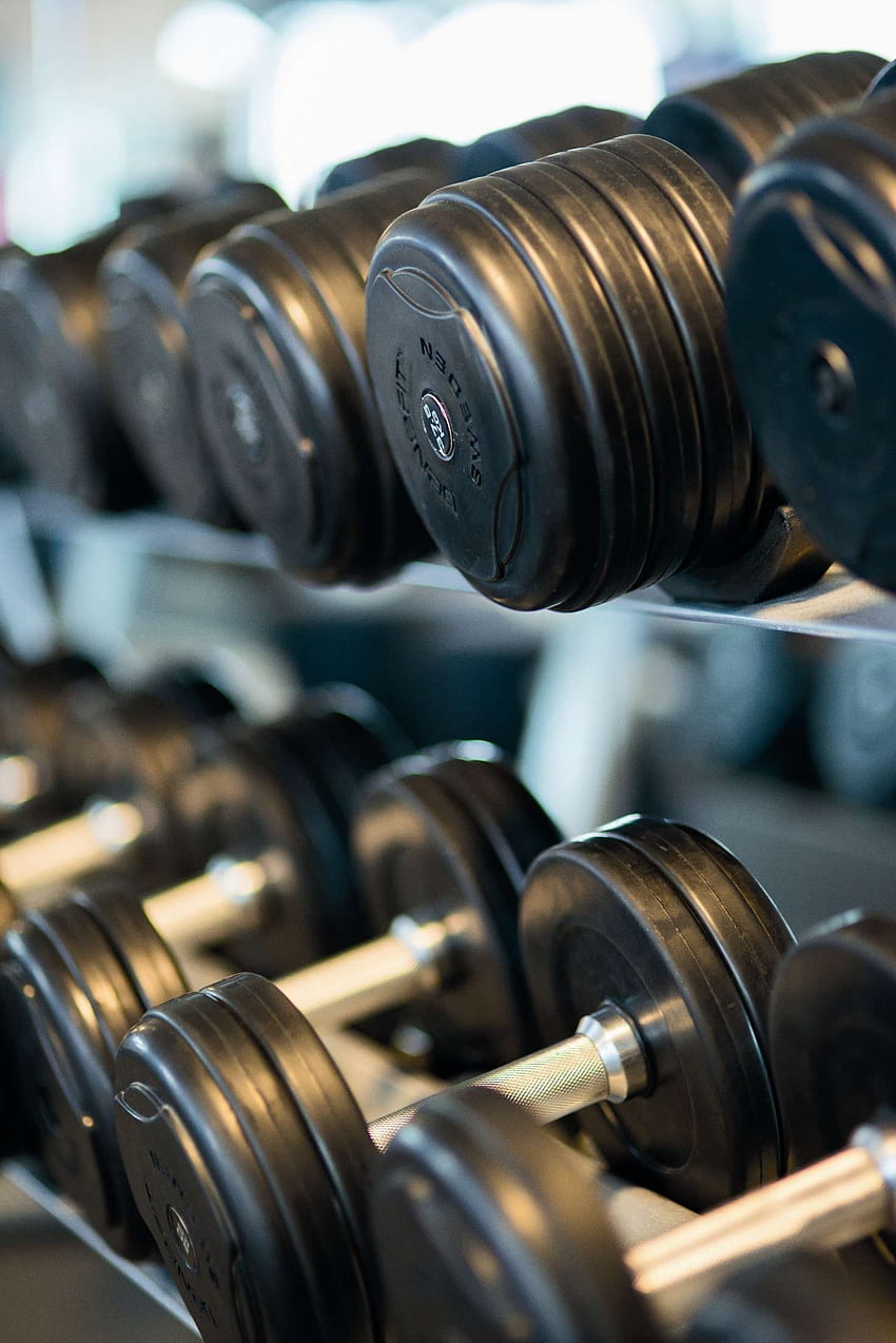 Black Dumbbell Lot · Stock, Weights HD phone wallpaper