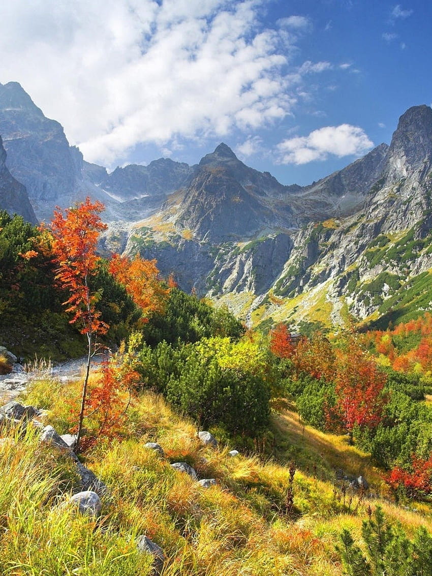 Slovacchia, Tatra, verde, campo, sentiero, autunno per Apple iPad Mini, Apple IPad 3, 4 Sfondo del telefono HD