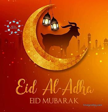 Eid ul Adha 2021 . Eid ul Adha Wishes, Eid al-Adha HD phone wallpaper |  Pxfuel