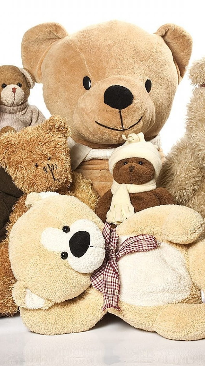 Teddy Bear Wale, Beautiful, Teddy Bears HD phone wallpaper