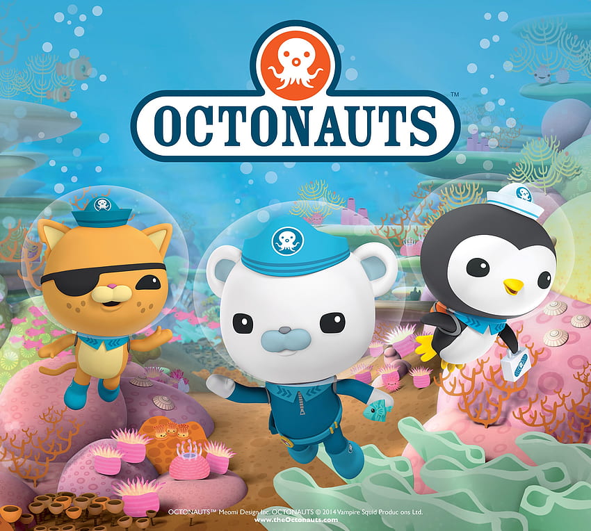 Octonaut birtay ideas. octonauts party, octonauts birtay party, octonauts birtay, The Octonauts HD wallpaper