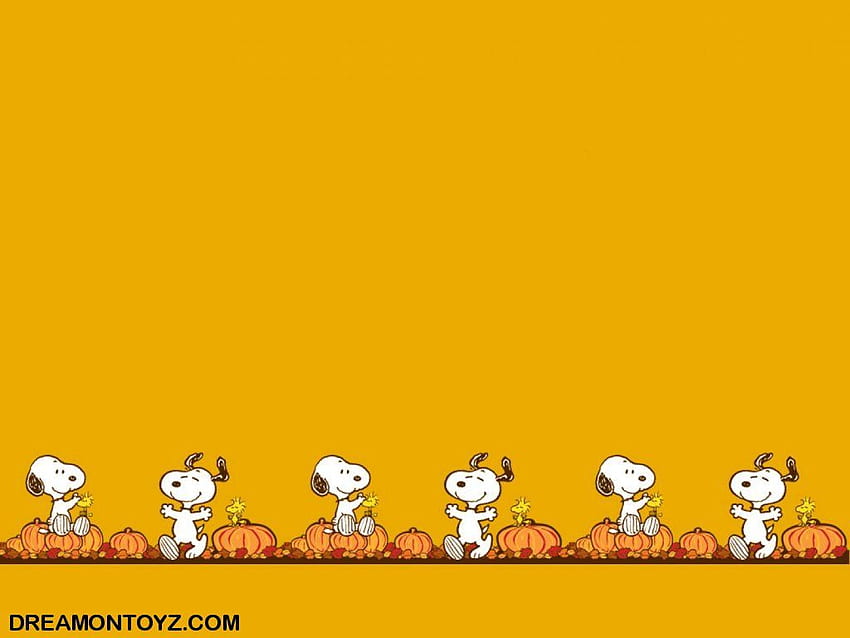 snoopy. Snoopy , Halloween , Peanuts , Snoopy Computer HD wallpaper