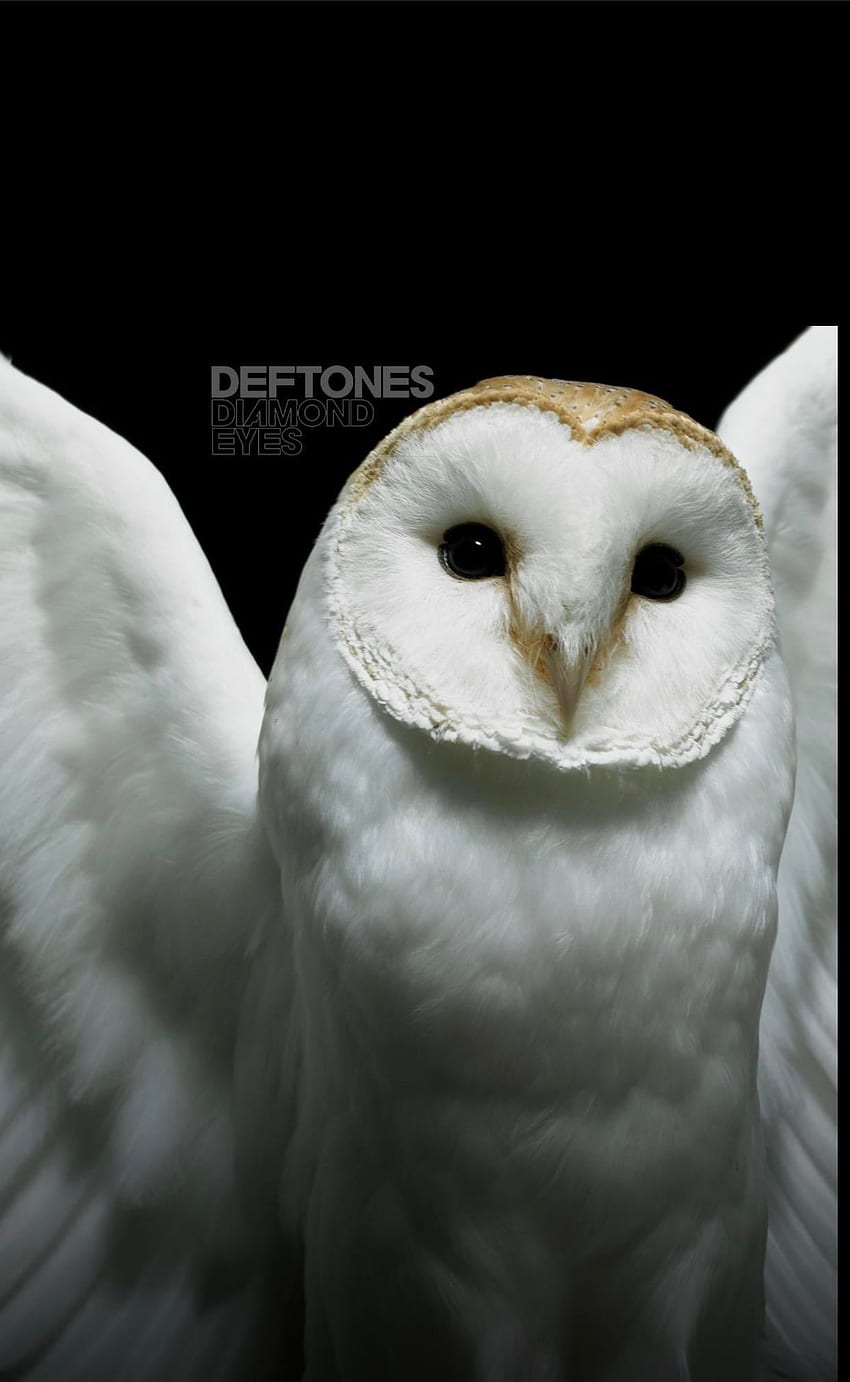Deftones wallpaper by deseson  Download on ZEDGE  72e4