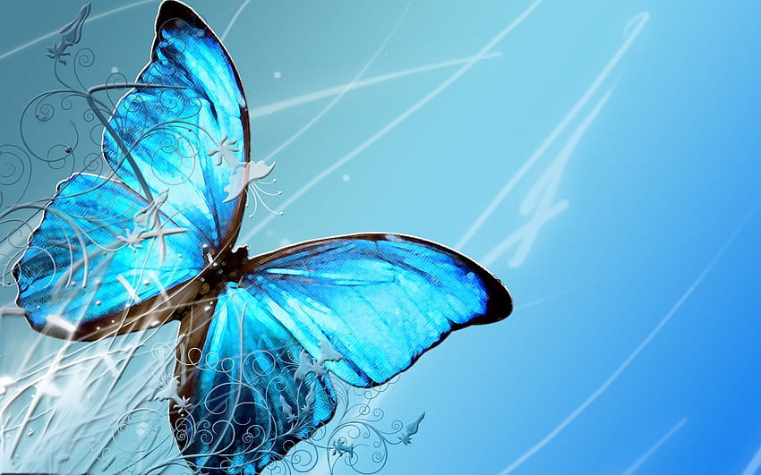 Butterfly High Quality HD wallpaper