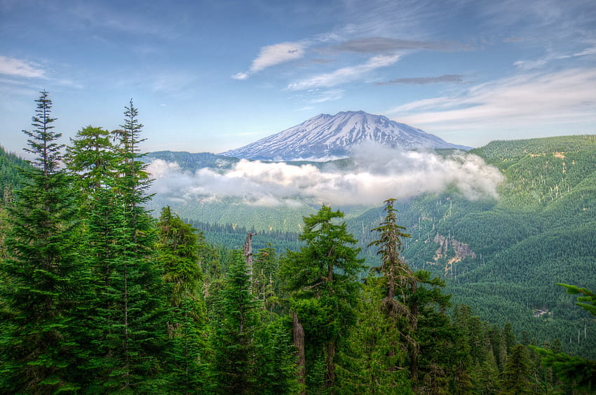 ธรรมชาติ ต้นไม้ ภูเขา สหรัฐอเมริกา หมอก สหรัฐอเมริกา r วอชิงตัน วอลล์เปเปอร์ HD