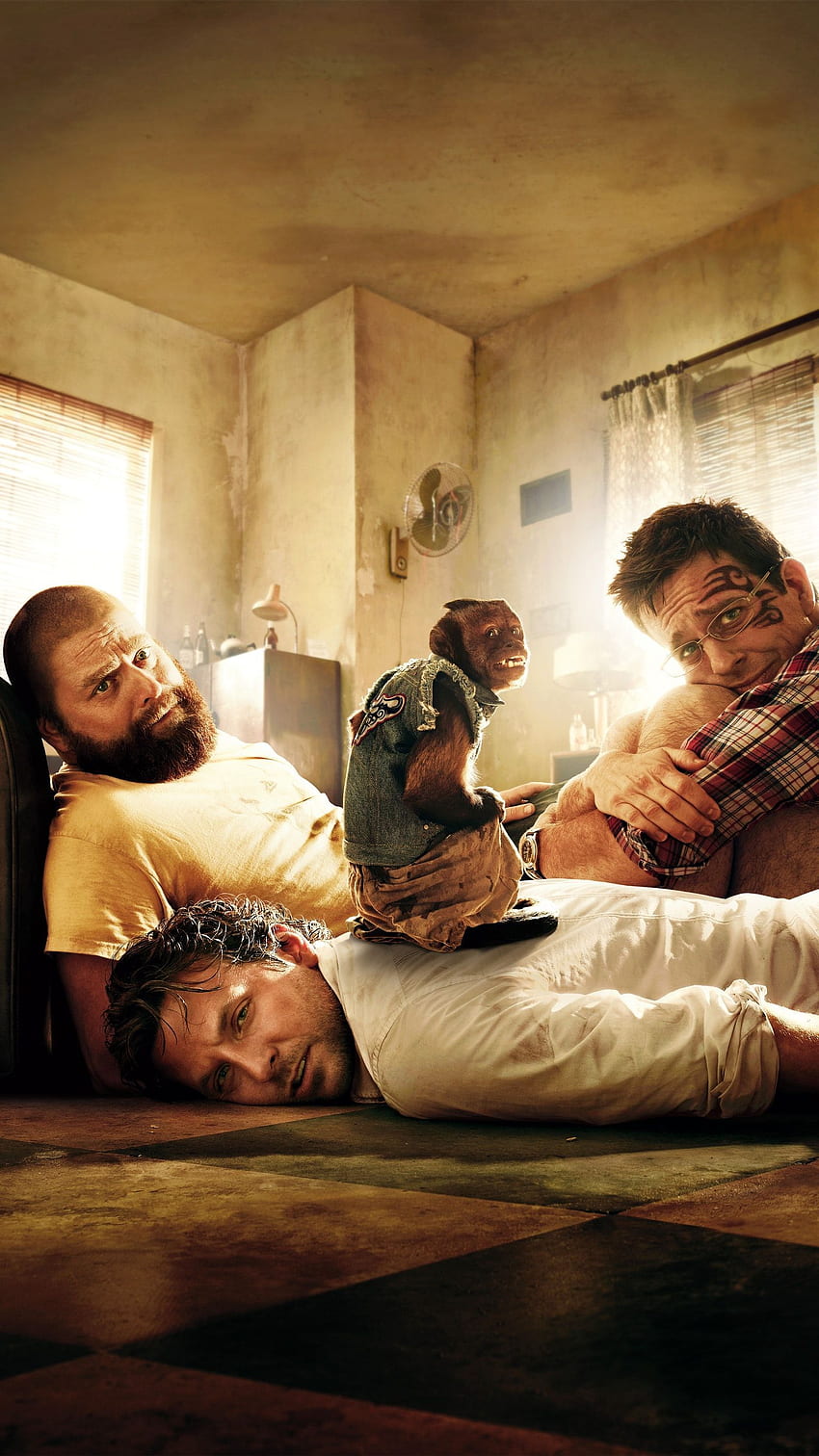 The hangover is to 1080P 2K 4K 5K HD wallpapers free download  Wallpaper  Flare