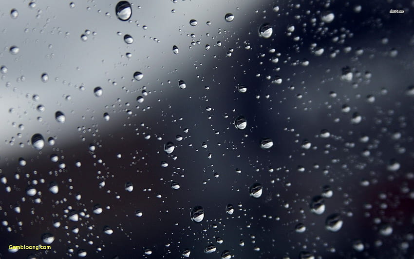 android Rain Beautiful Rain Drops Group 72 HD wallpaper