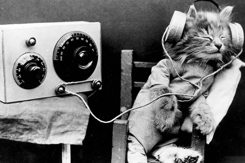 แมวเพลง, ขาวดำ, เพลง, หูฟัง, Harry Whittier s, น่ารัก, แมว, วินเทจ วอลล์เปเปอร์ HD