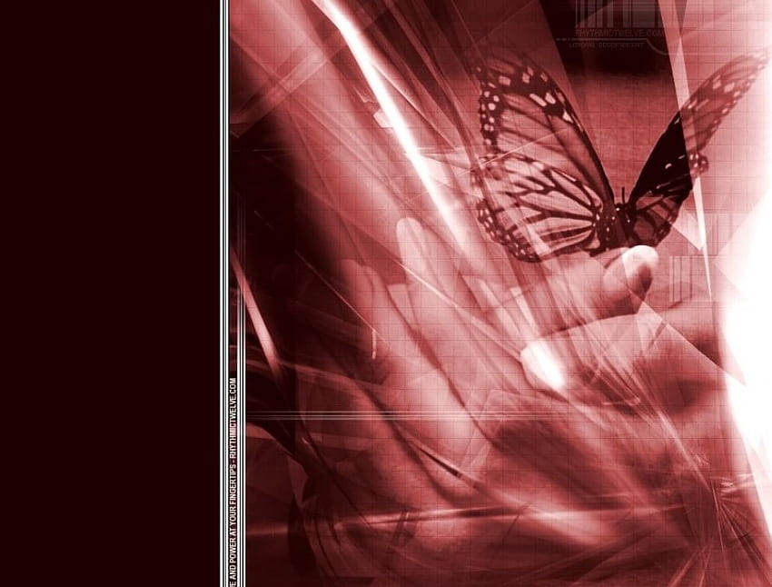 Butterfly in hands, hands, butterfly, art HD wallpaper