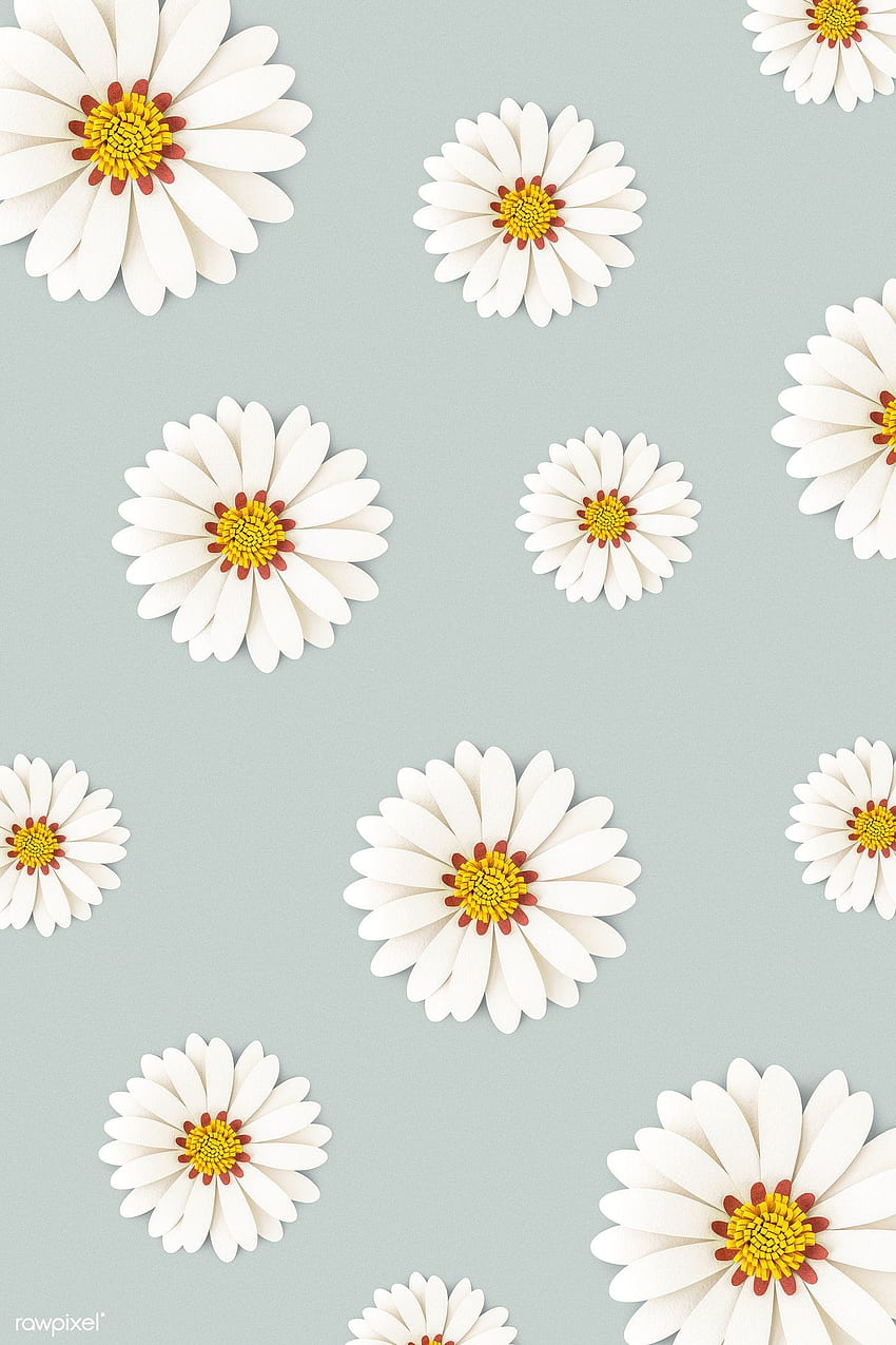 Daisy Flower (am besten Daisy Flower und ) im Chat, gelbe Gänseblümchen HD-Handy-Hintergrundbild