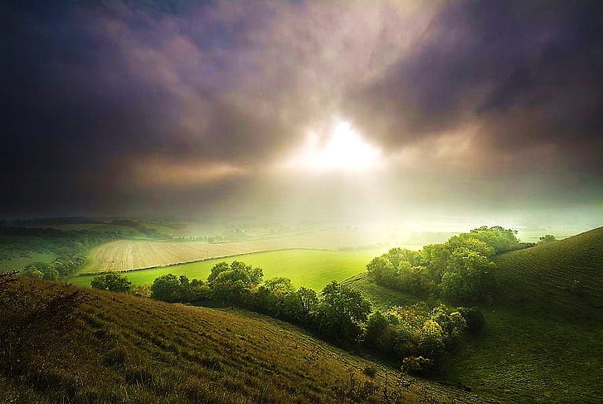Misty mañana en Inglaterra, niebla, colinas, luz, campo, árboles, cielo nublado, rayos de sol fondo de pantalla