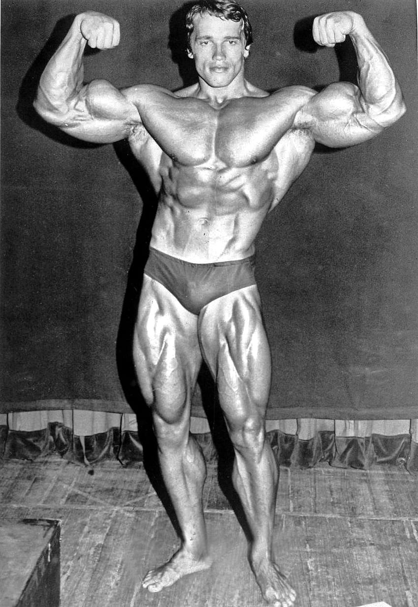 Arnold Bodybuilding, Arnold Schwarzenegger Papel de parede de celular HD
