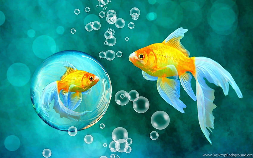 Burbujas Goldfish Blue Bokeh Sea Fish, Ocean Bubbles fondo de pantalla
