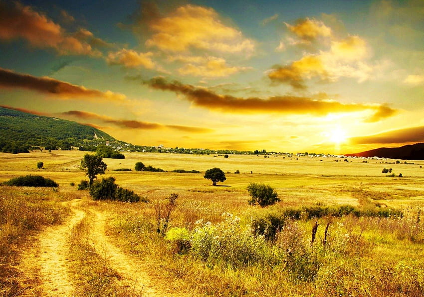 Golden field sunrise, rayons, lumière du soleil, lever du soleil, sinshine, soleil, coucher de soleil, prairie, or, chemin, coucher du soleil, éblouissant, pré, herbe, montagne, champ, lumière, jaune, nuages, nature, ciel Fond d'écran HD