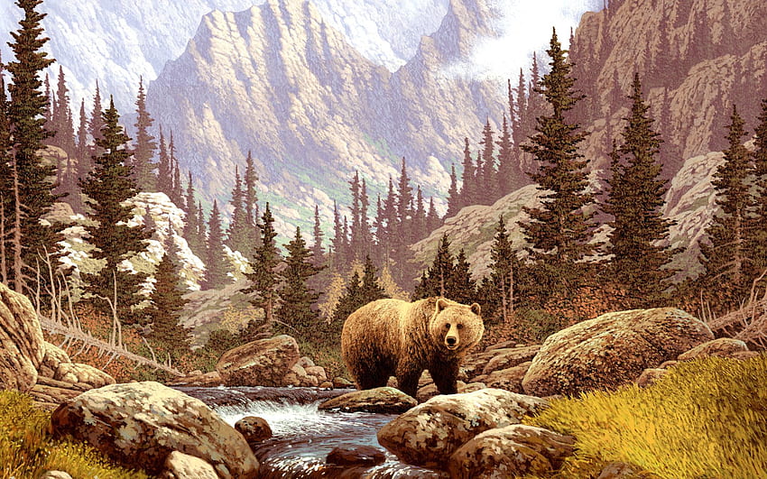 MX 95 Bear Wide , Bear Wide Adorable, Cool Native American Bear HD wallpaper