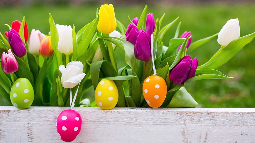 Easter Eggs With Beautiful Background - Quotes and Greetings. Easter , Happy easter , Easter, Spring Easter HD wallpaper