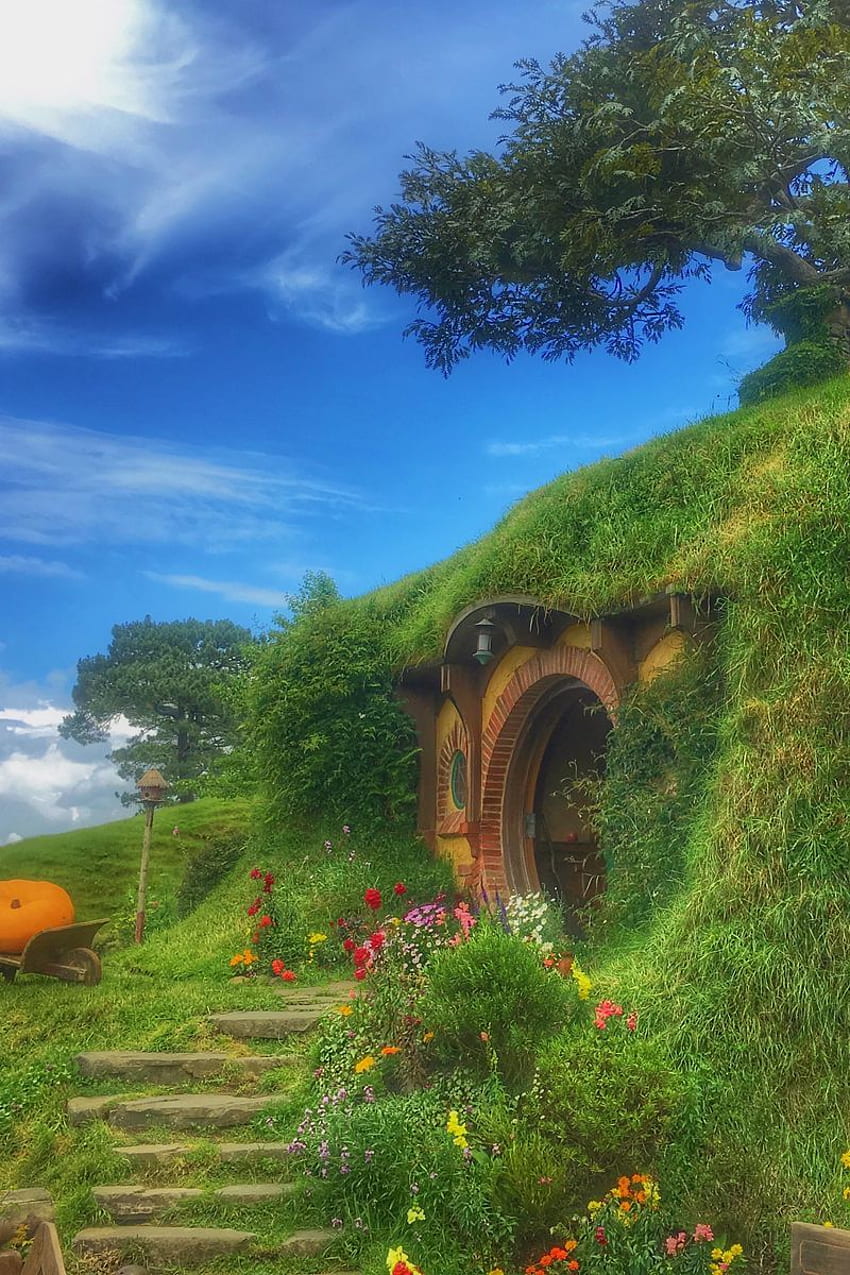 hobbiton movie set, forest house, New Zealand Spring HD phone wallpaper