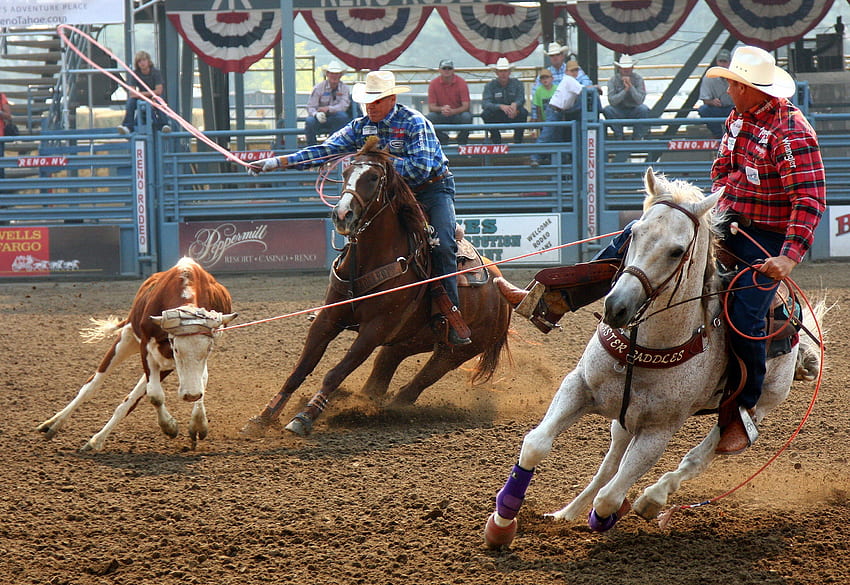 Team Roping. one day i will do this!. Team roping, Roping horse, Rodeo time HD wallpaper
