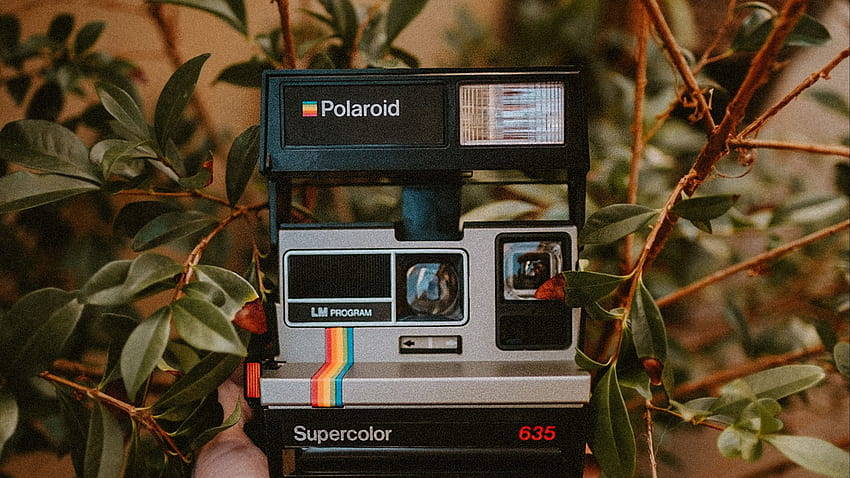 Vintage Retro Polaroid Camera HD wallpaper