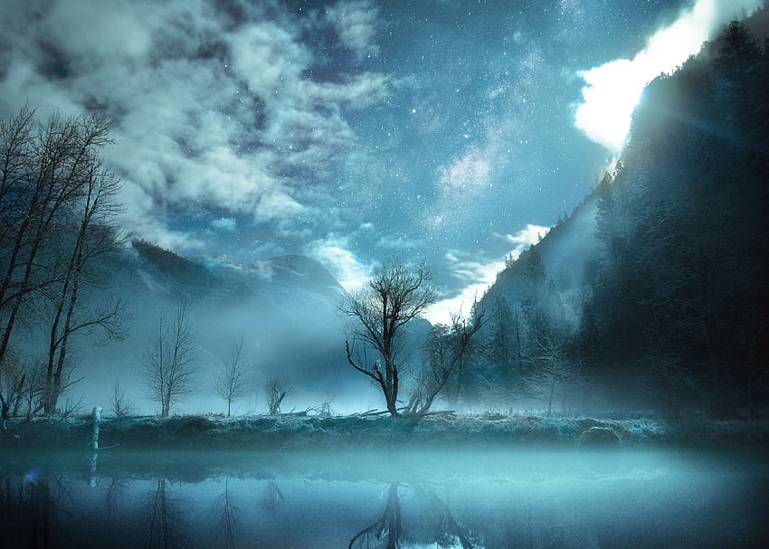 Nature, Mountains, Usa, Wood, Tree, Fog, United States, Yosemite Valley HD wallpaper