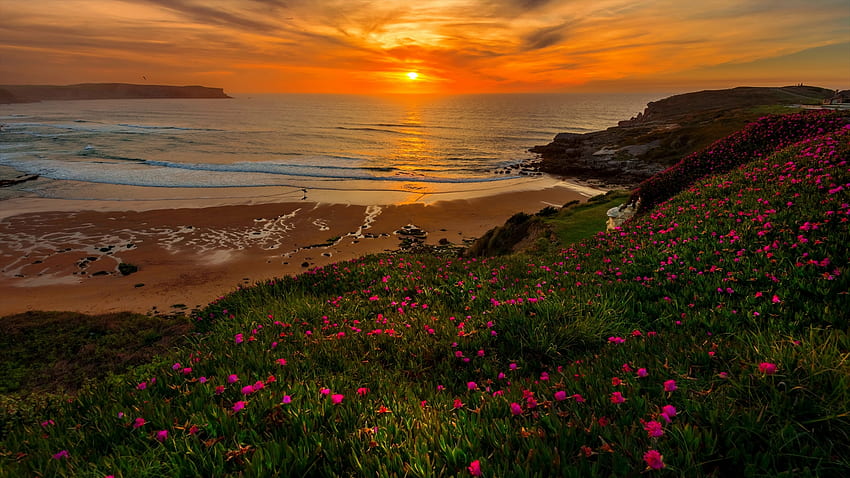 Beach Overlook, mar, areia, tema Firefox Persona, praia, crepúsculo, encosta, flores, céu, colina, pôr do sol, oceano papel de parede HD