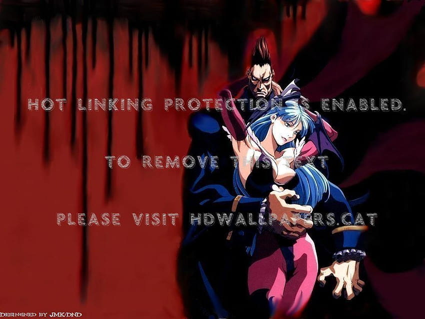 dimitri & morrigan darkstalkers game, Darkstalkers Anime HD wallpaper
