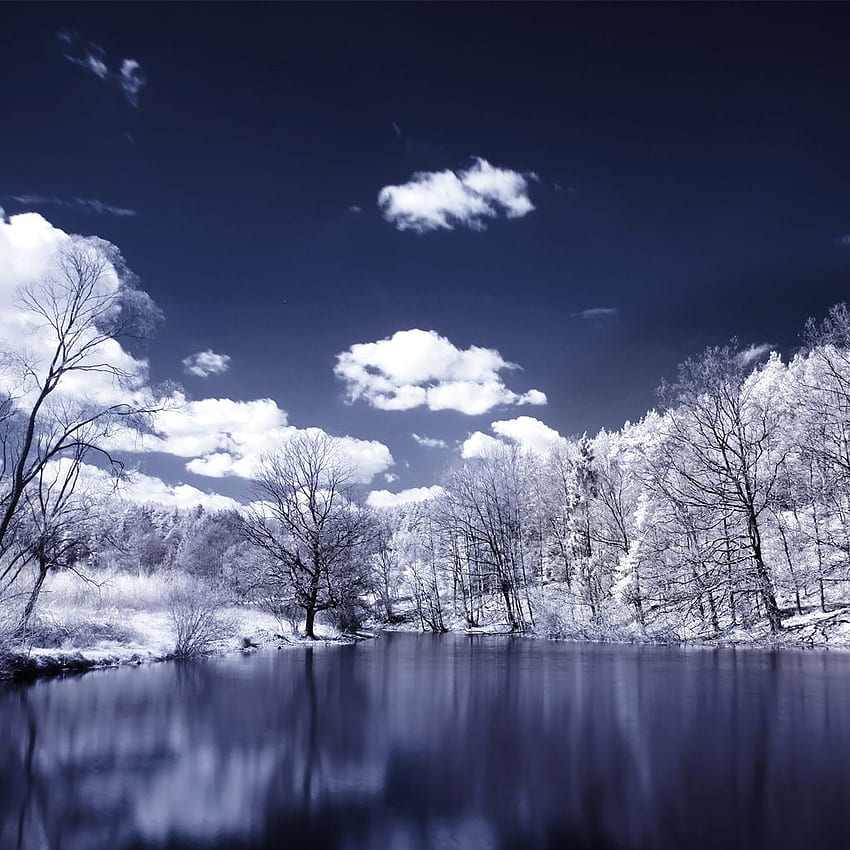 Infrared graphy Landscapes Skyscapes Trees Water HD phone wallpaper