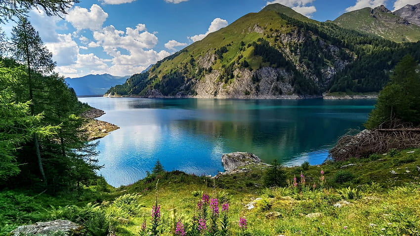 Планинско езеро, Тичино, Швейцария, облаци, пейзаж, дървета, цветя, небе, Алпи, планини, скали HD тапет