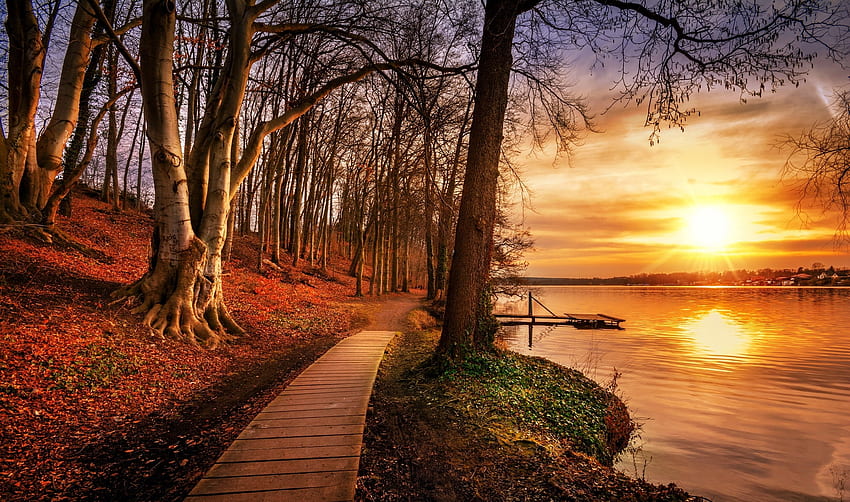 jam emas di siang hari, pohon, musim gugur, langit, danau Wallpaper HD