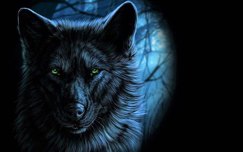Wolf by the Light of a Full Moon . Background HD wallpaper