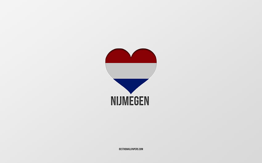 Обичам Ниймеген, Холандски градове, Ден на Неймеген, сив фон, Ниймеген, Холандия, сърце с холандски флаг, любими градове, Обичам Ниймеген HD тапет