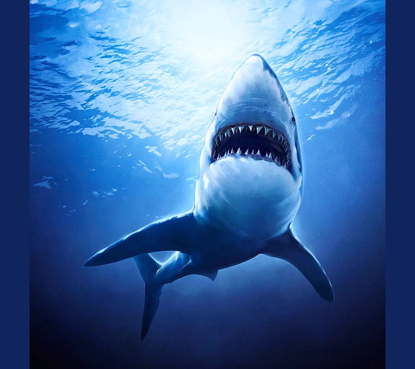 Caçador nas profundezas, azul, tubarão assassino, luz, caçador, tubarão, oceano papel de parede HD