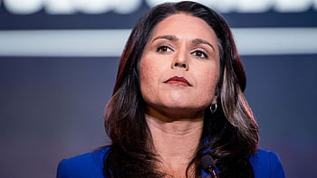 Rep. Tulsi Gabbard Backs Trump Impeachment Inquiry HD Wallpaper | Pxfuel