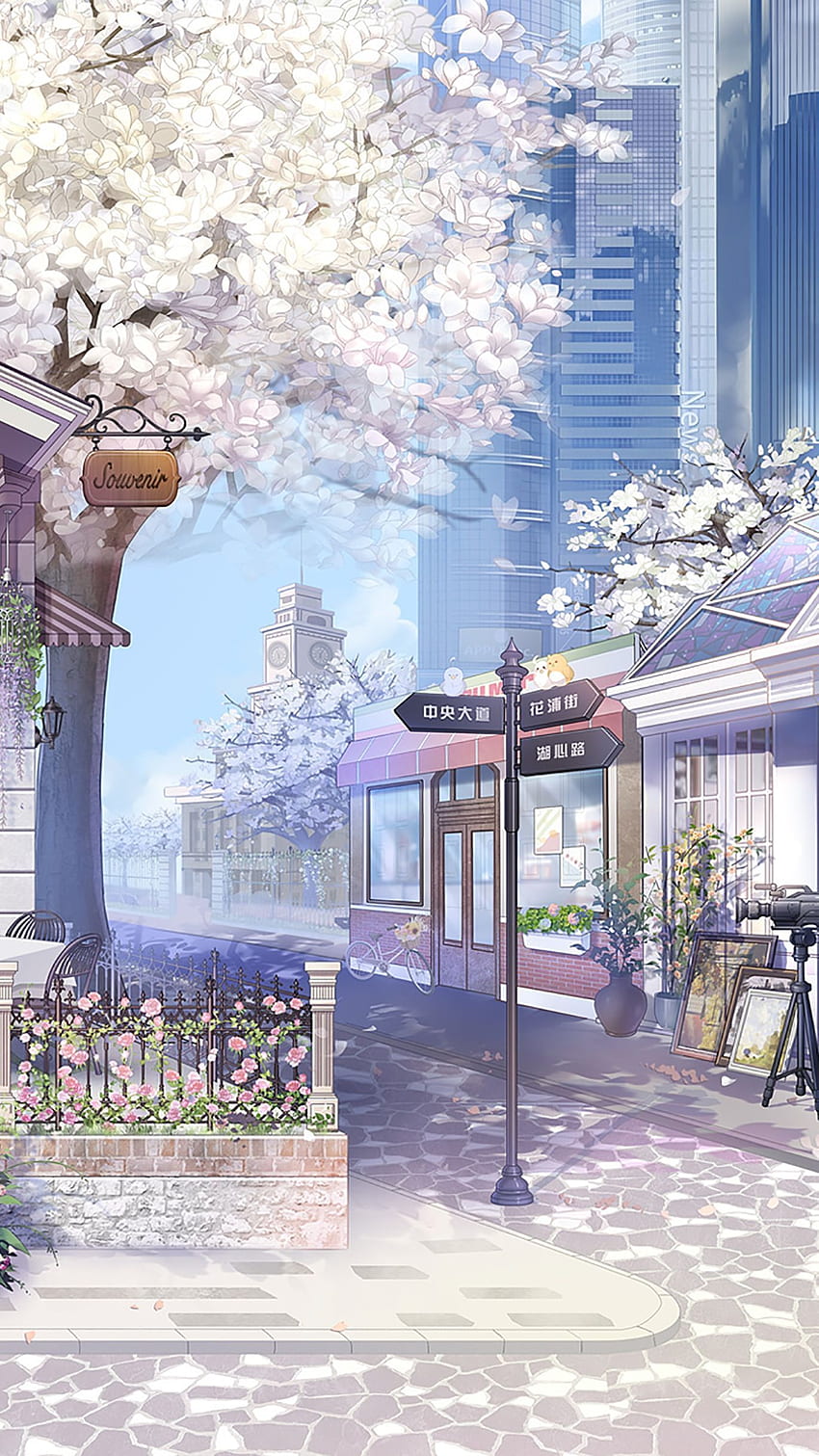 white Sakura tree. HD-Handy-Hintergrundbild