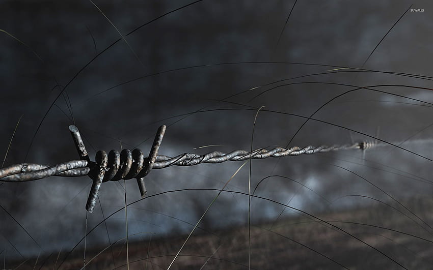 Barbed wire - graphy, Barbed Wire Fences HD wallpaper