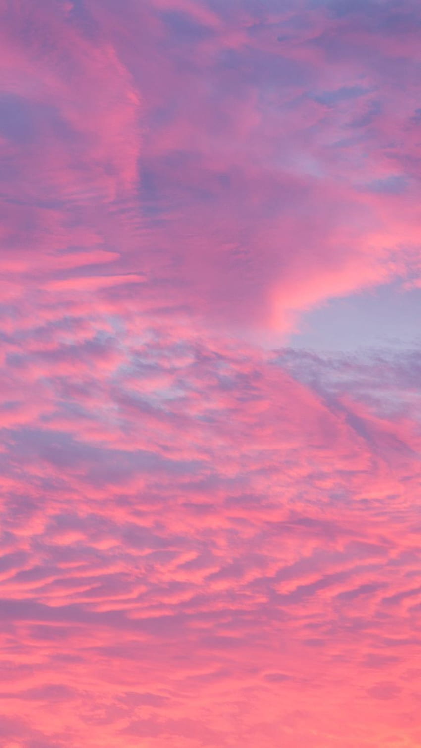 Estetyka Tumblr Pink Sunset Clouds Tło - - teahub.io Tapeta na telefon HD