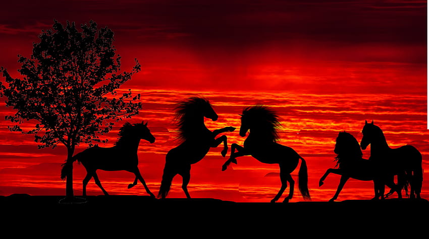 Zachód słońca, sylwetka, konie, stado Tapeta HD
