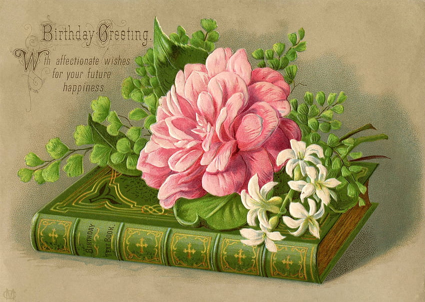 Happy Birtay!, pink, book, flower, green, birtay, card, vintage HD wallpaper