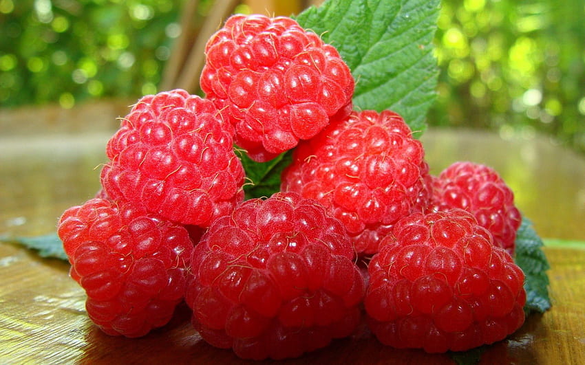 Makanan, Raspberry, Berry, Matang, Ranting, Setangkai Wallpaper HD